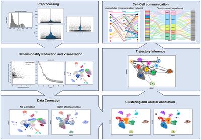 The impact of single-cell genomics on the field of mycobacterial infection